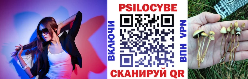 Галлюциногенные грибы Psilocybe  kraken tor  Лабытнанги 